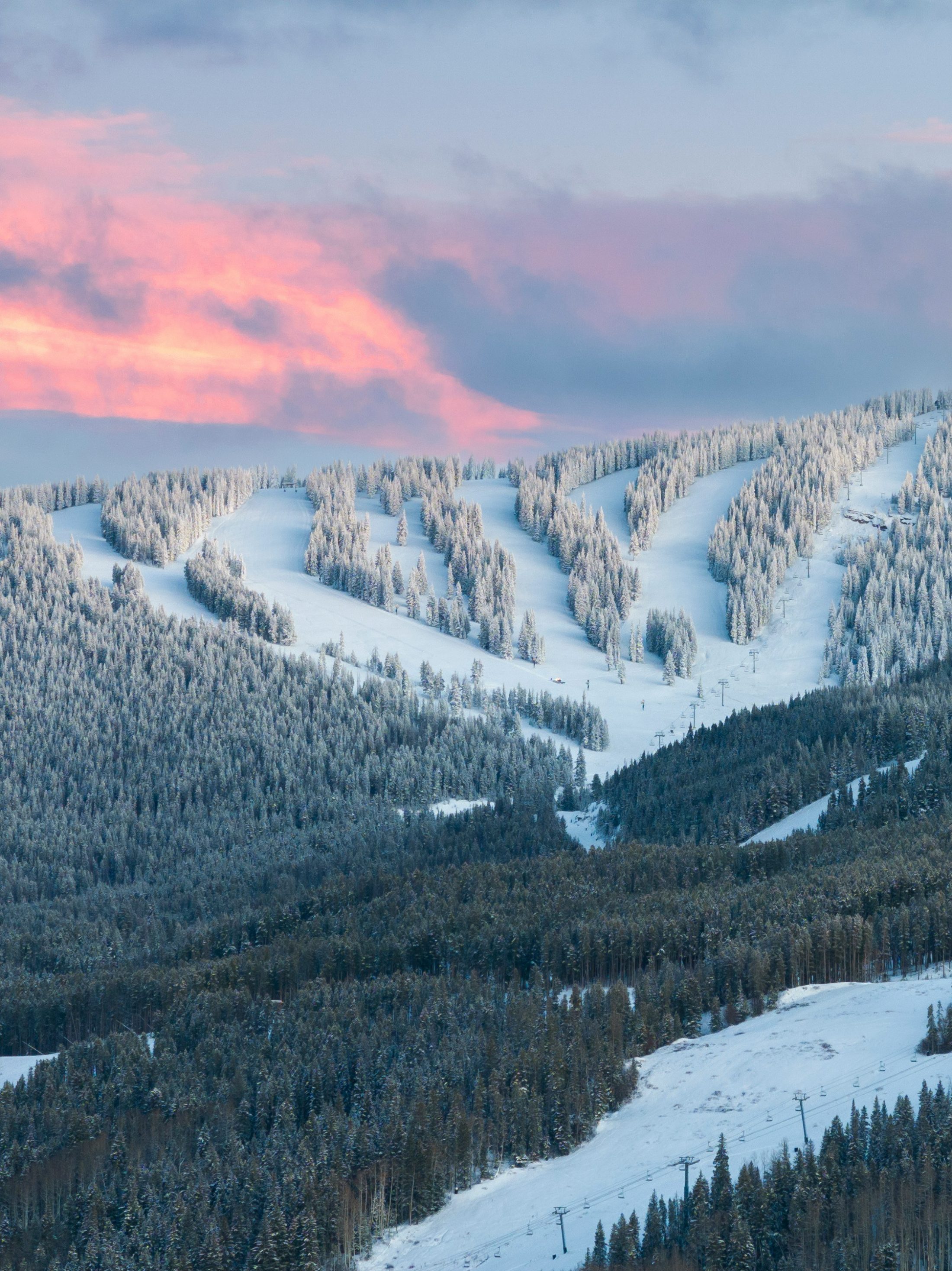 Las pistas de Vail entre abetos nevados bajo un cielo rosa