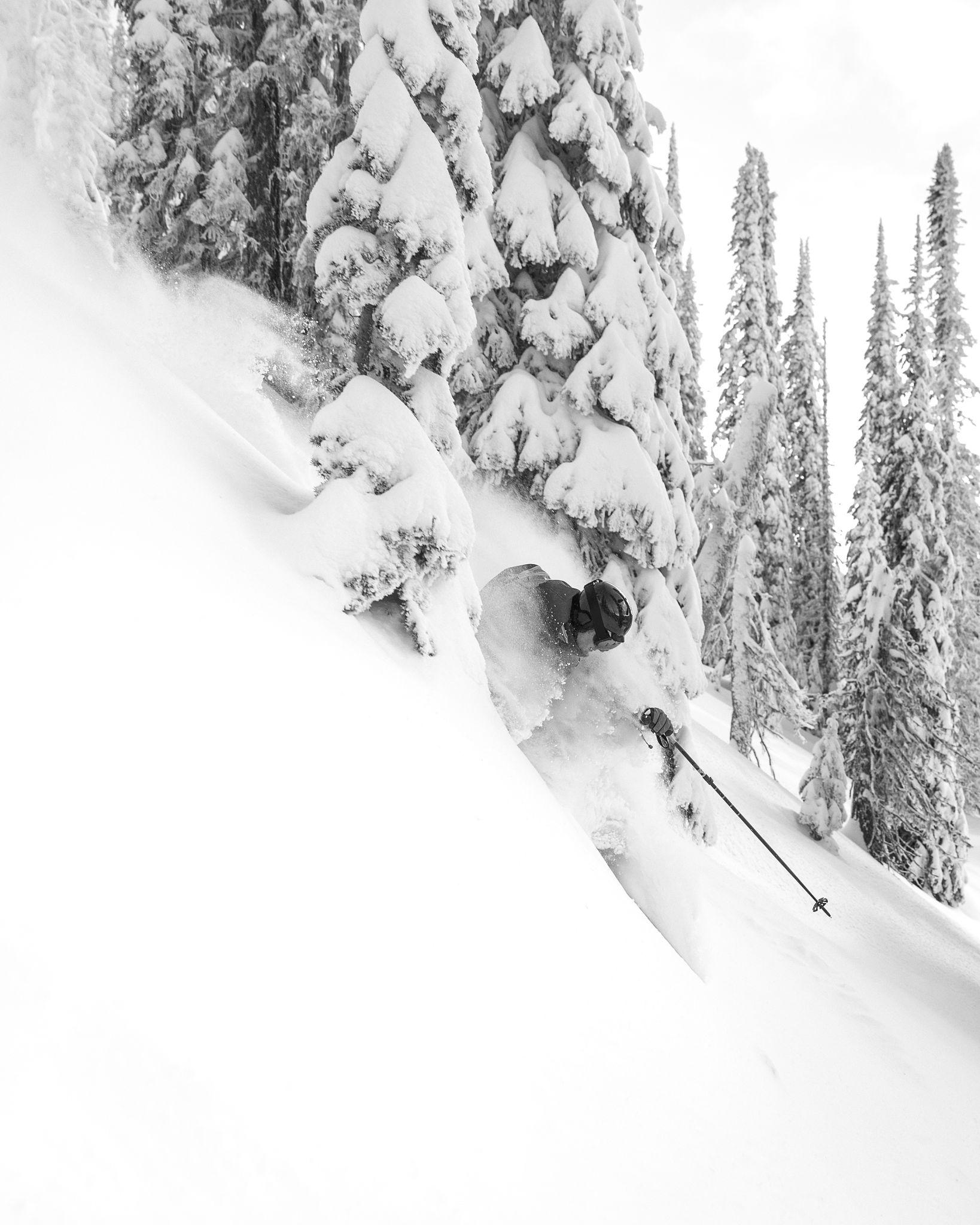 Un esquiador desaparece entre abetos cargados de nieve, en blanco y negro